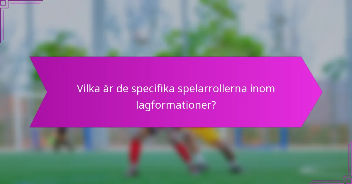 Vilka är de specifika spelarrollerna inom lagformationer?